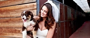 Laan sterk Bewustzijn Pets Pyjamas Archives - Bahamas Bridal Association: An Association of Wedding and Event Professionals Laan sterk Bewustzijn Pets Pyjamas Archives - Bahamas Bridal Association: An Association of Wedding and Event Professionals